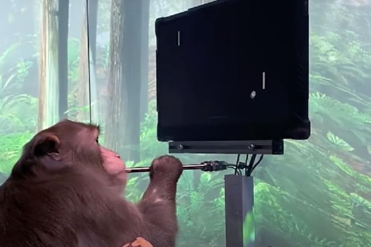 Mono con chip de Neuralink juega contra un hombre partida de Pong mental