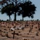 Pensión Bienestar: Cuánto paga el Pago de Marcha en 2026