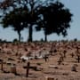 Pensión Bienestar: Cuánto paga el Pago de Marcha en 2026 si una persona fallece y cómo solicitarlo