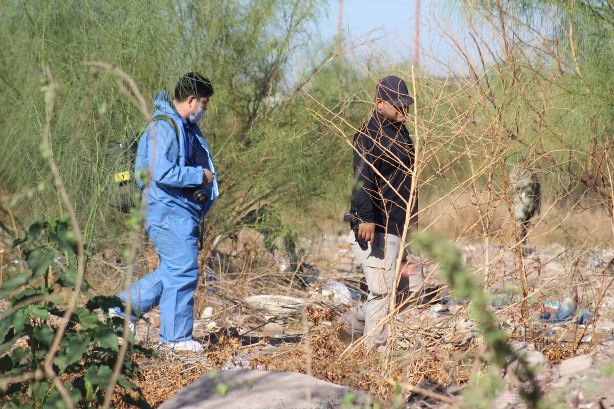 Hallan restos humanos en la colonia 410 de Ciudad Obregón