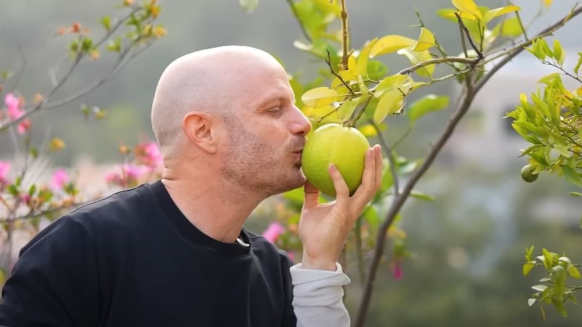 En su jardín Facundo cuenta con un huerto / Captura Youtube @Facundo