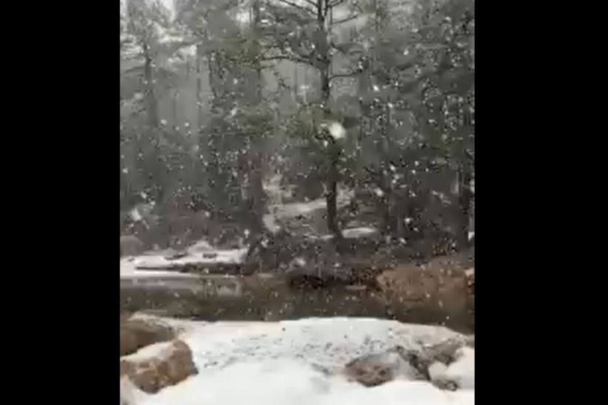 VIDEO: Así se vio la primera nevada en Sonora