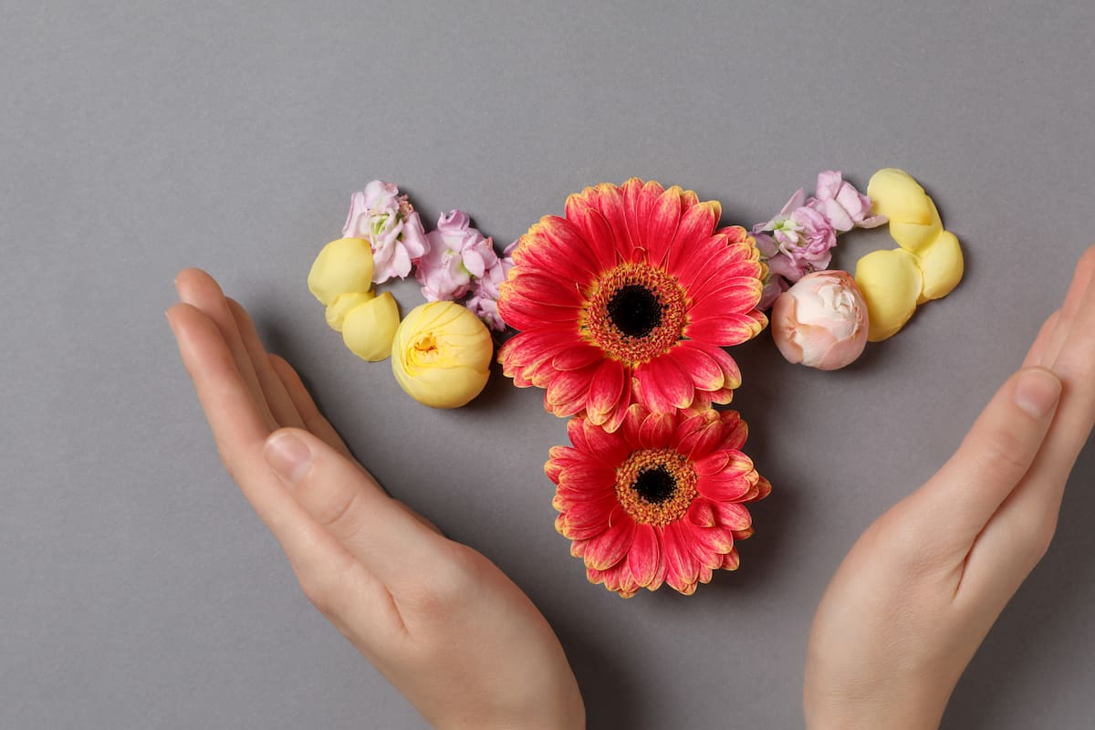 Detectan microplásticos en los ovarios: ¿cómo podrían afectar la fertilidad?