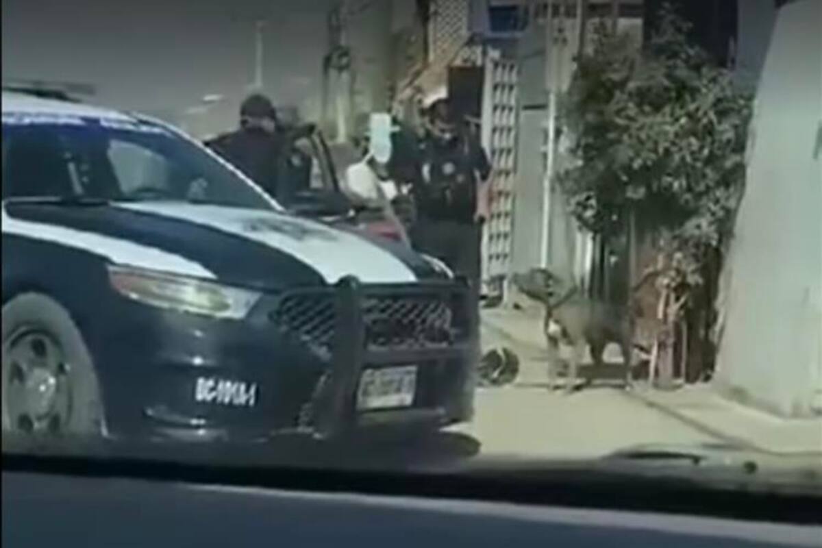 Investigan a policía que mató a perro