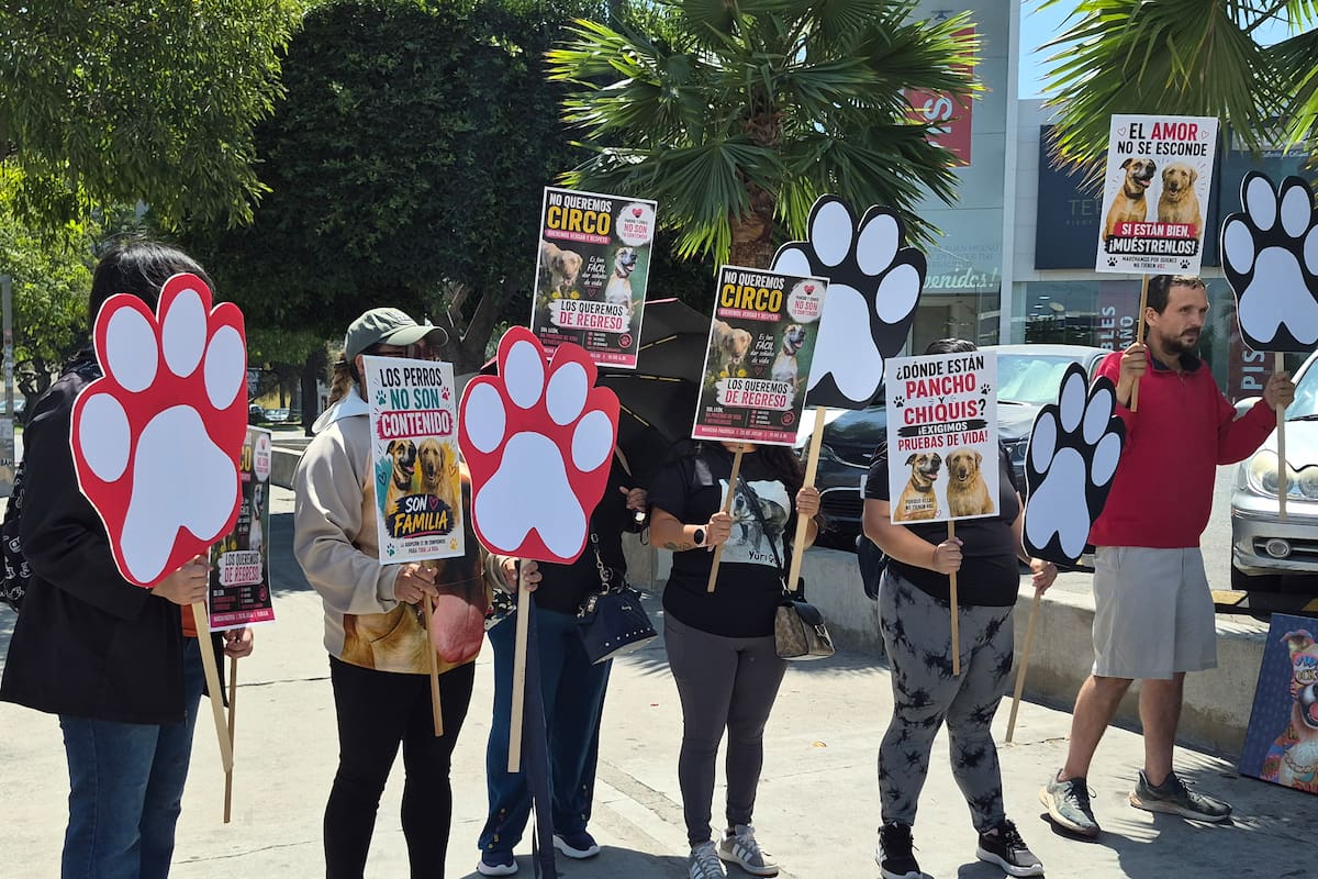 Activistas protestan en Tijuana para exigir información sobre dos perros adoptados por influencer