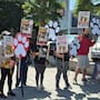 Activistas protestan en Tijuana para exigir información sobre dos perros adoptados por influencer