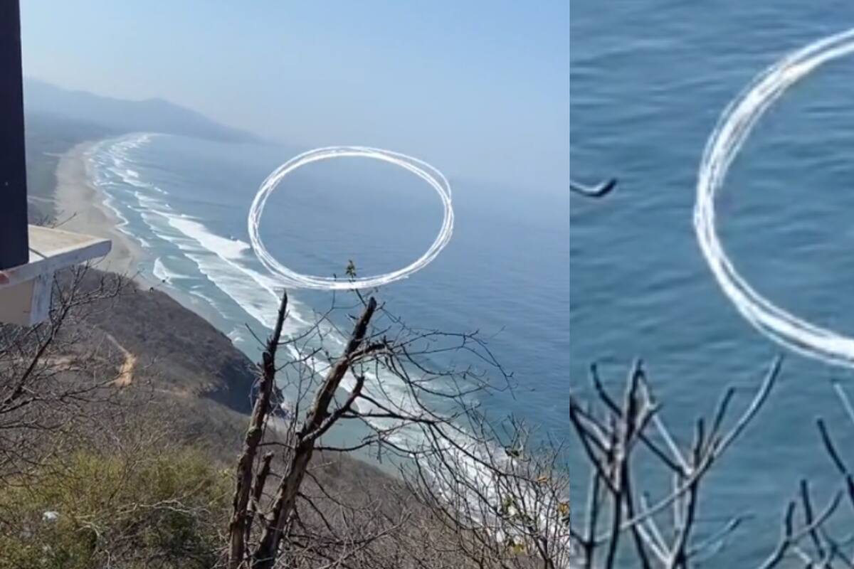 Una familia en el mar se asusta al confundir a un pez remo con una serpiente marina