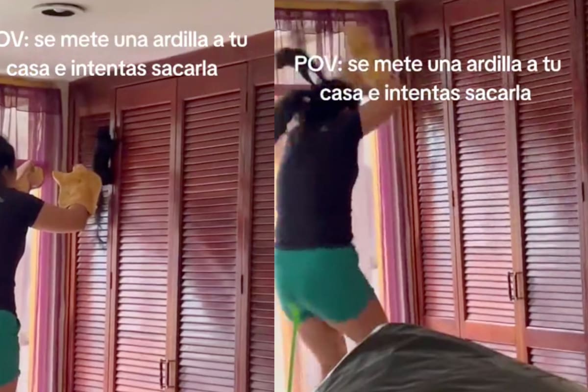 Mujer intenta sacar una ardilla de su cuarto, ¡pero sale MAL! | VIRAL