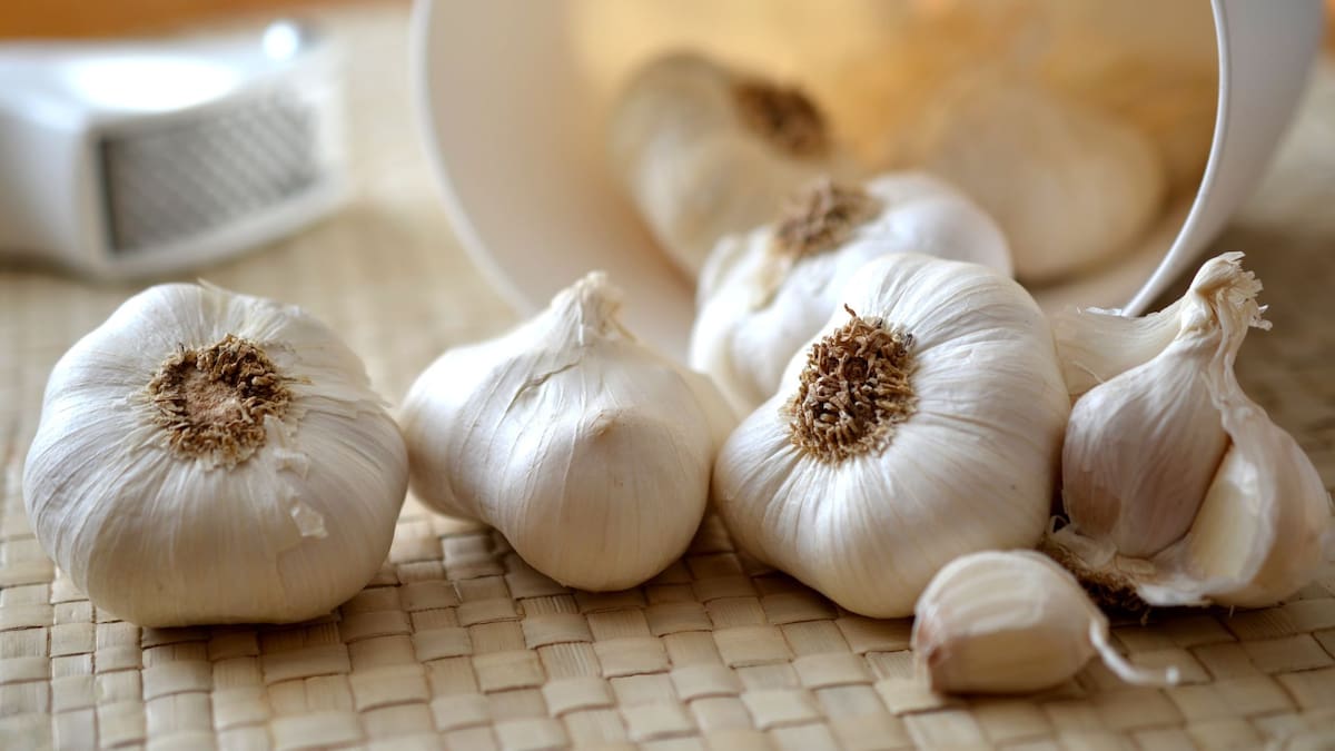Propiedades curativas del ajo | Foto: Especial