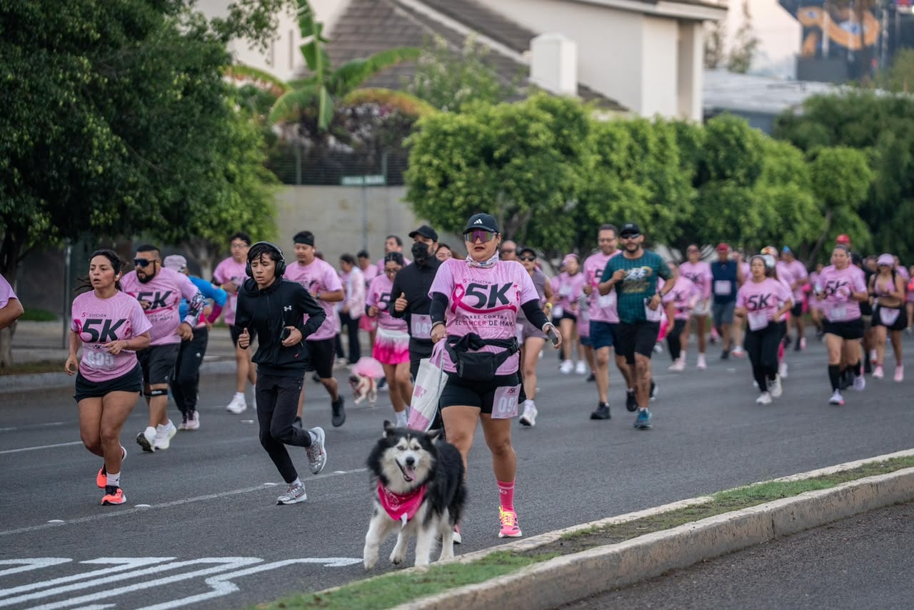 Alrededor de mil 300 personas participaron en la quinta carrera Corre Contra el Cáncer de Mama en Tijuana, que recaudó fondos para comprar camas-camilla para el IMSS. La jornada pet friendly contó con la participación de Vaquita, una perrita sobreviviente de cáncer que completó los cinco kilómetros. Foto: Cortesía / Border Zoom