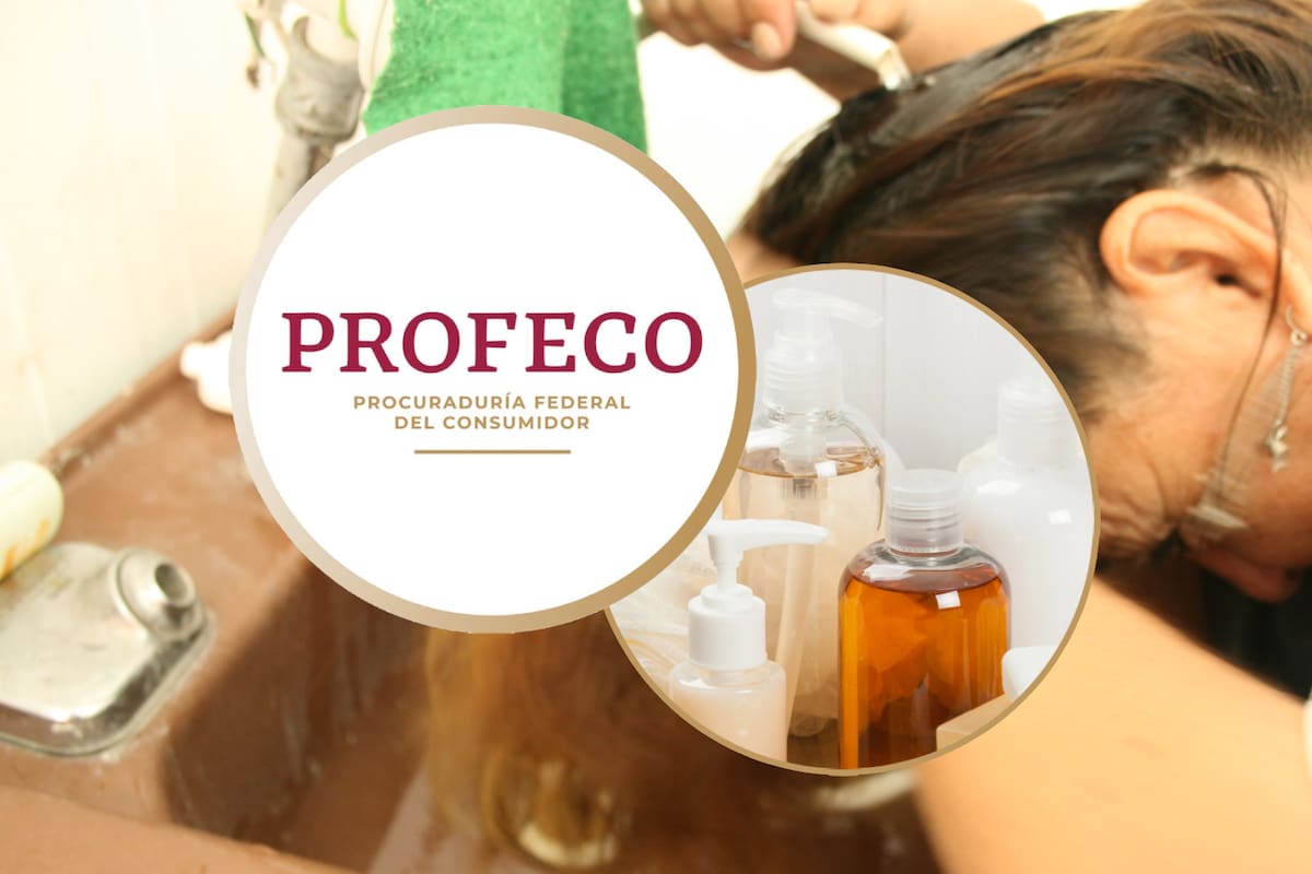 Estos son los mejores shampoos por tipo de cabello, según Profeco