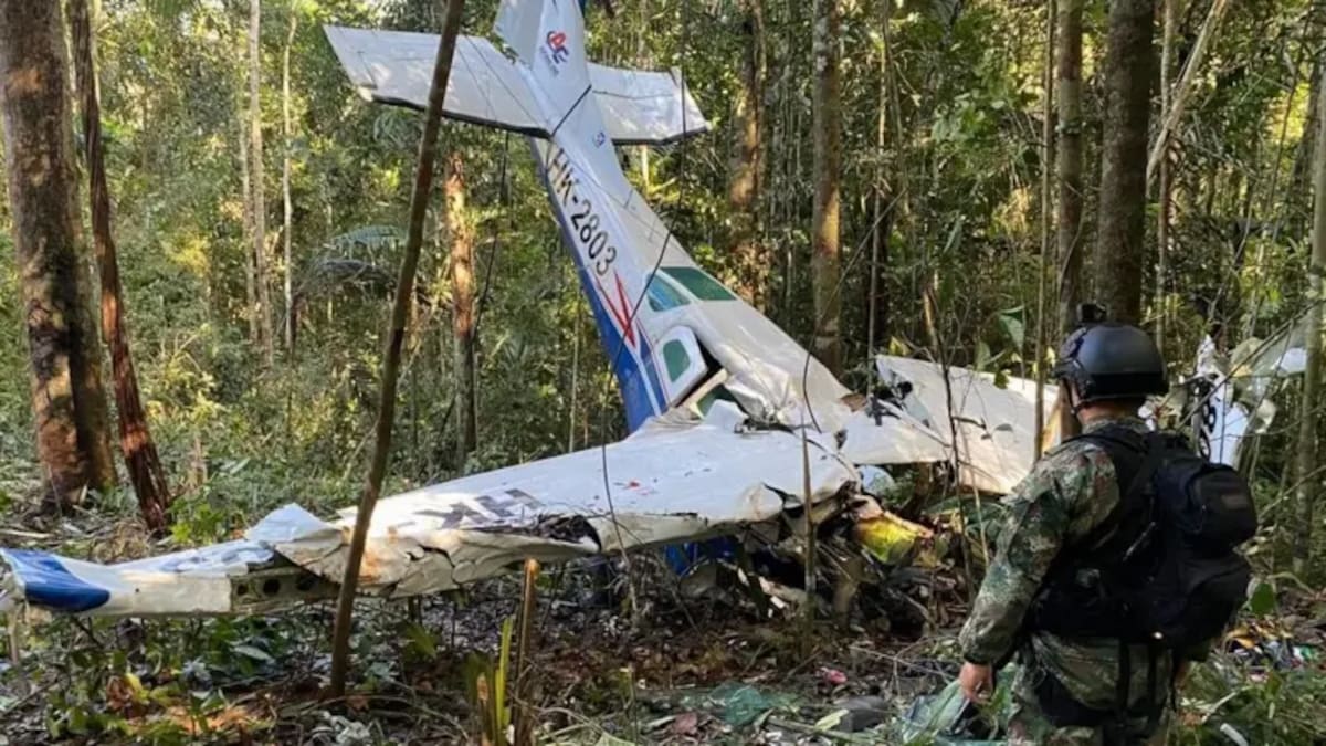 La avioneta fue reportada desaparecida el pasado 1 de mayo y fue hallada dos semanas después.