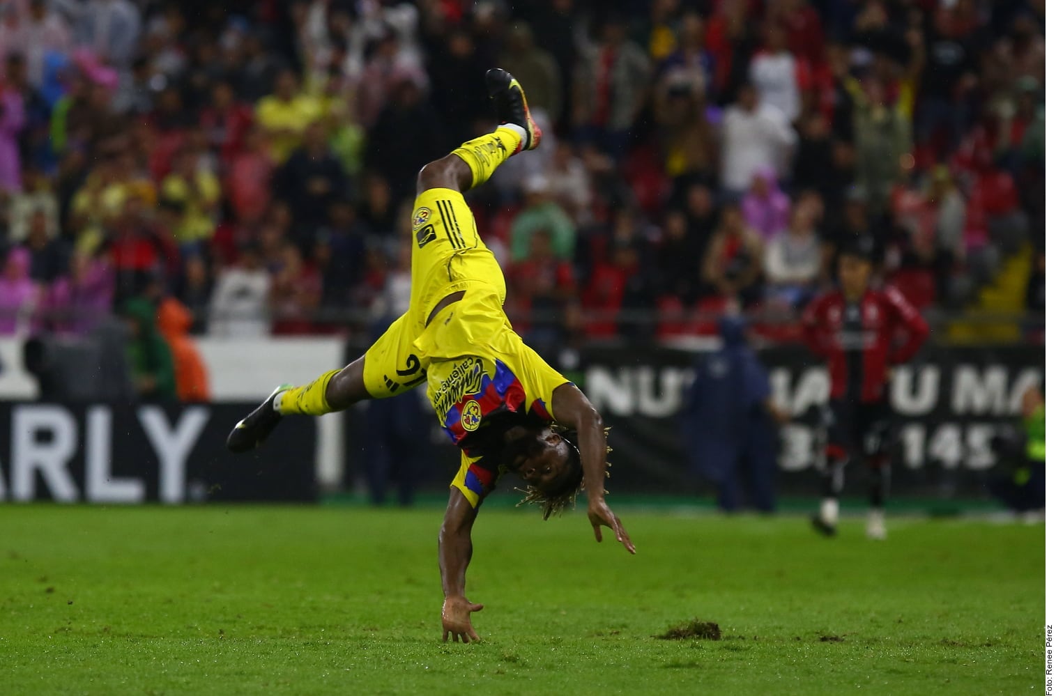 Allan Saint-Maximin festeja su primer gol en Liga MX dando una marometa en el Estadio Jalisco. (Foto: Archivo GH)