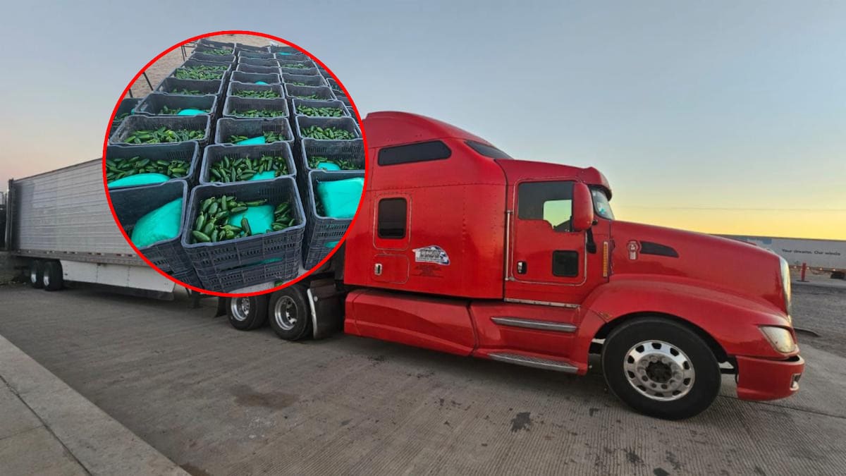 Aseguran tráiler con 1000 kilos de droga como metanfetamina, fentanilo y goma de opio entre chiles. | Especial