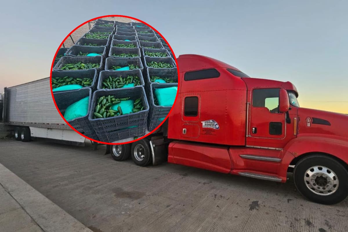 Aseguran más de 1000 kilos de droga entre chiles de un tráiler en SLRC entre Ejército Mexicano y Guardia Nacional