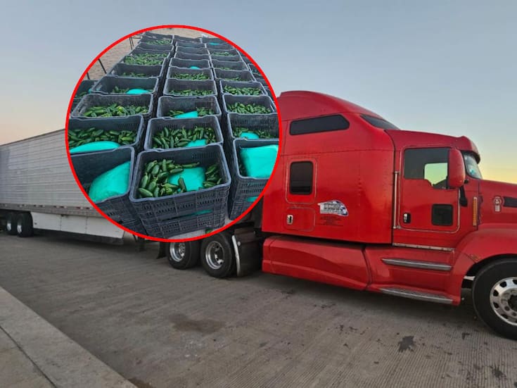 Aseguran más de 1000 kilos de droga entre chiles de un tráiler en SLRC entre Ejército Mexicano y Guardia Nacional