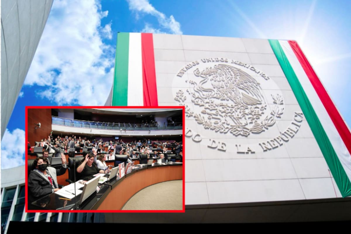 Senado elimina la Cofece y crea nueva Comisión Nacional Antimonopolio