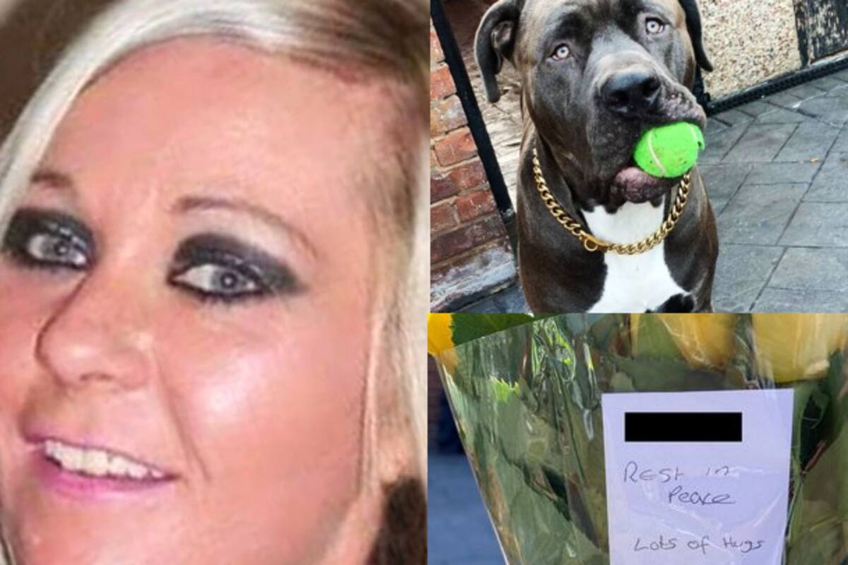 Perro del tamaño de un "león" mutiló a su dueña hasta la muerte en su casa