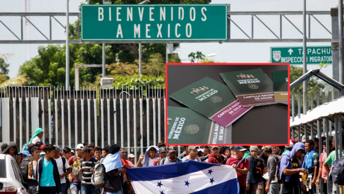 ARCHIVO. Foto: Gaceta UDG/Gobierno de México.