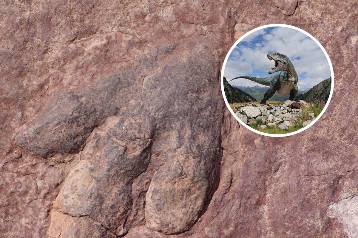 Dinosaurios: datos sorprendentes que cambiarán lo que creías saber