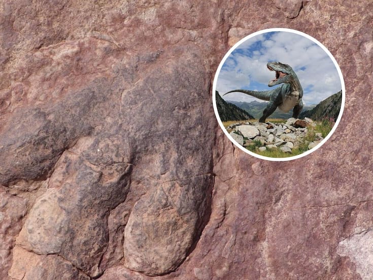 Dinosaurios: datos sorprendentes que cambiarán lo que creías saber