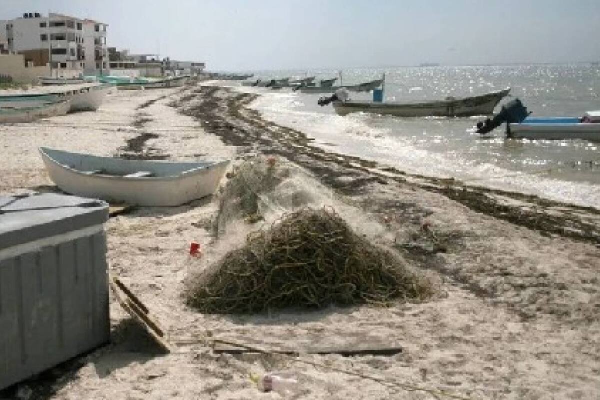 Yucatán: Frente frío ayudará con los daños causados por la marea roja
