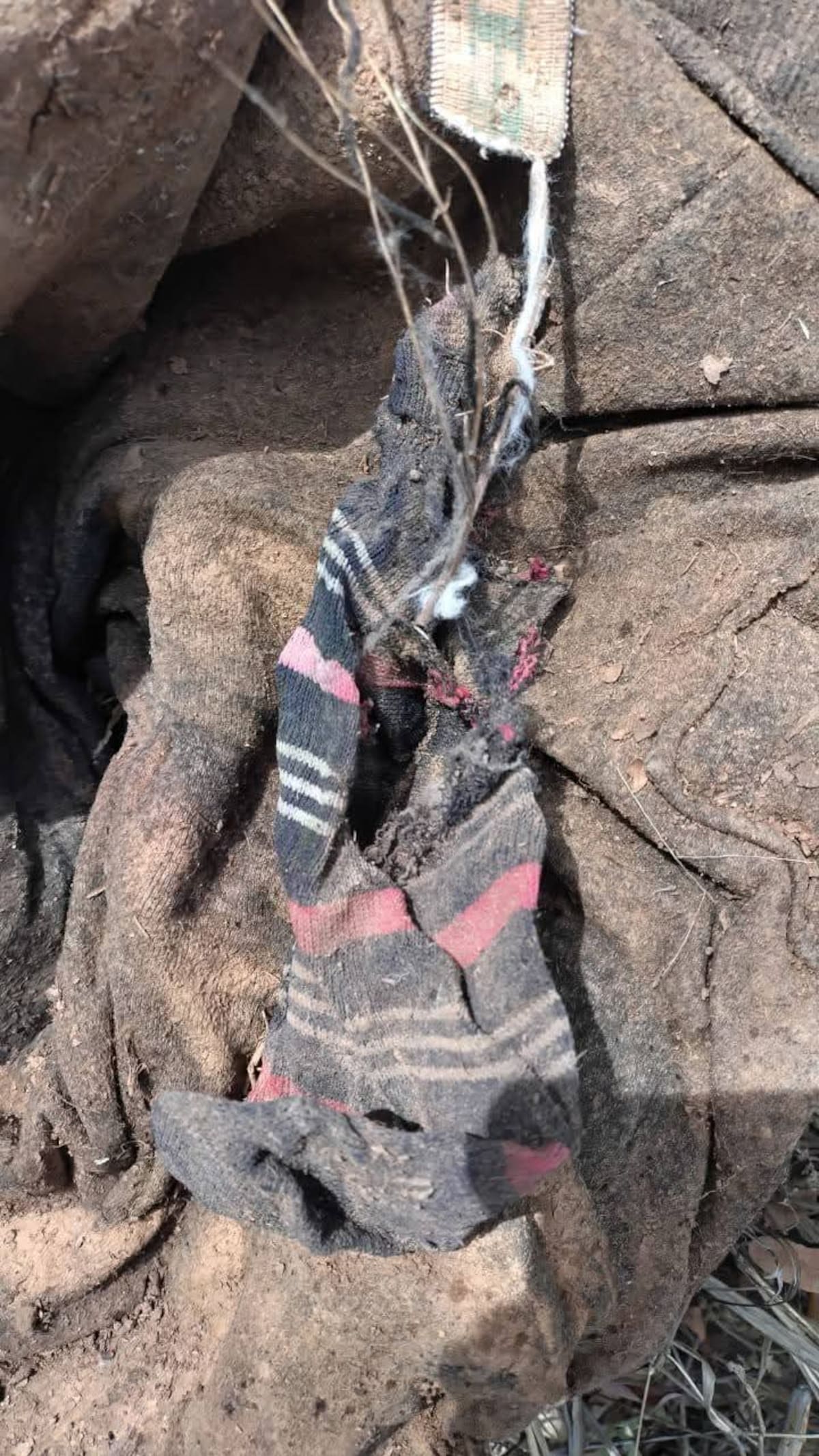 Foto: Manuel Jiménez.