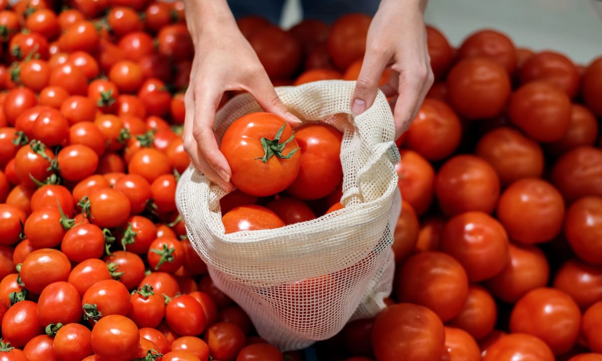 Según el comparativo nacional elaborado por Profeco, el precio promedio del tomate pasó de 49.11 pesos por kilo a 28.74 pesos | Foto: Pexels