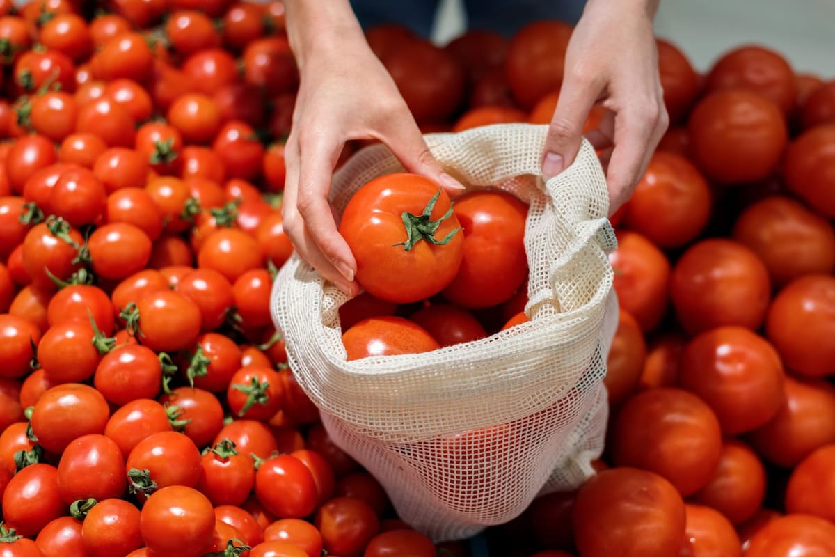 La inflación en México baja al 3.55% en junio por una menor demanda; tomate, huevo y pimiento bajan de precio, pero suben el aguacate y los vuelos según el Inegi