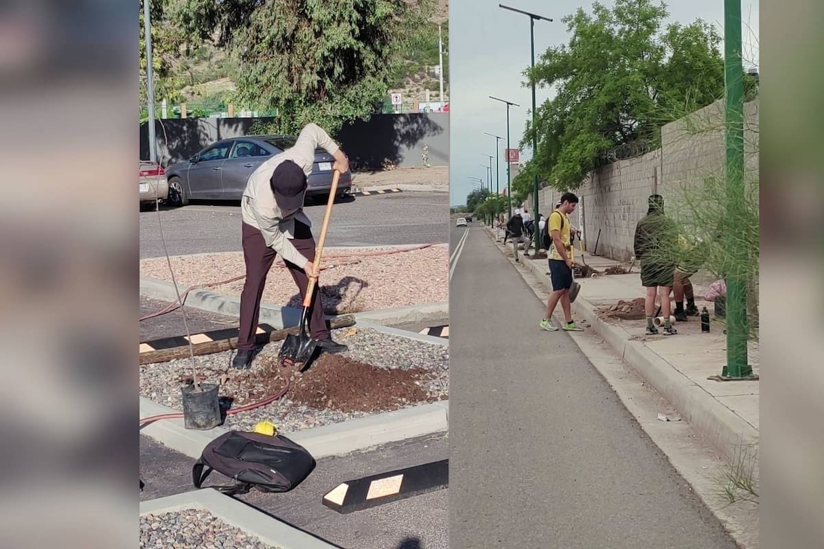 Organizan jornada de reforestación en Plaza de los Tres Pueblos