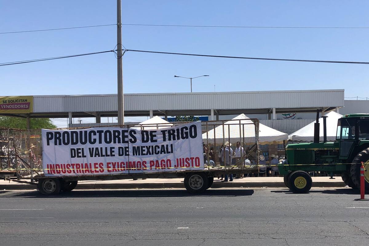 Manifiesto por parte de agricultores: Siguen sin pagarles