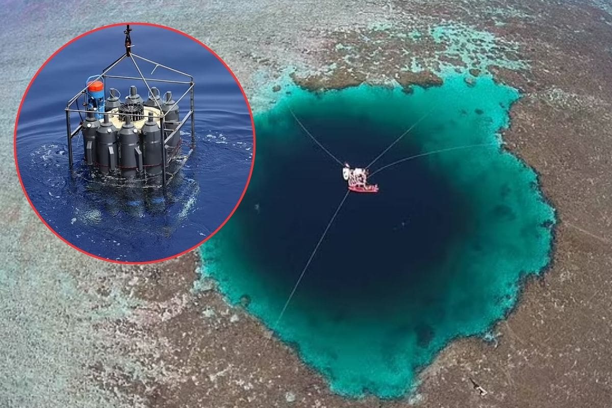 Agujero submarino más profundo del mundo descubierto en México, esto hallan al explorarlo