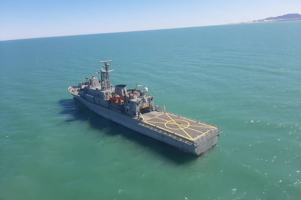 Realizan acciones para identificar ejemplares de la vaquita marina