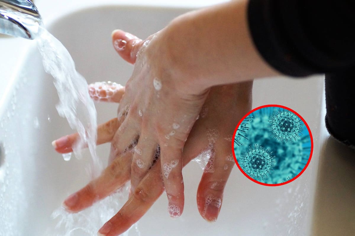 ¿Cómo lavarse las manos correctamente? Así puedes prevenir virus y enfermedades graves
