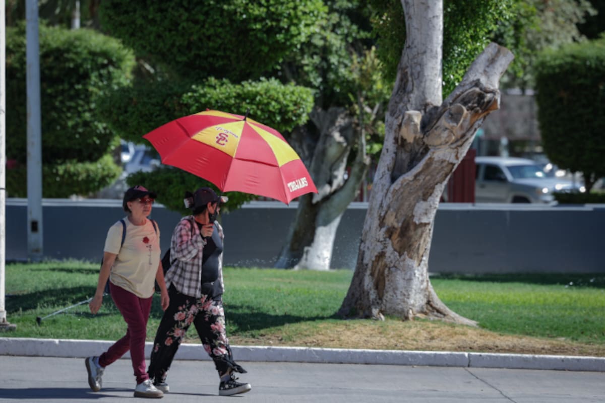 Clima en Mexicali: sol, nublados por la tarde y máxima de 32 grados