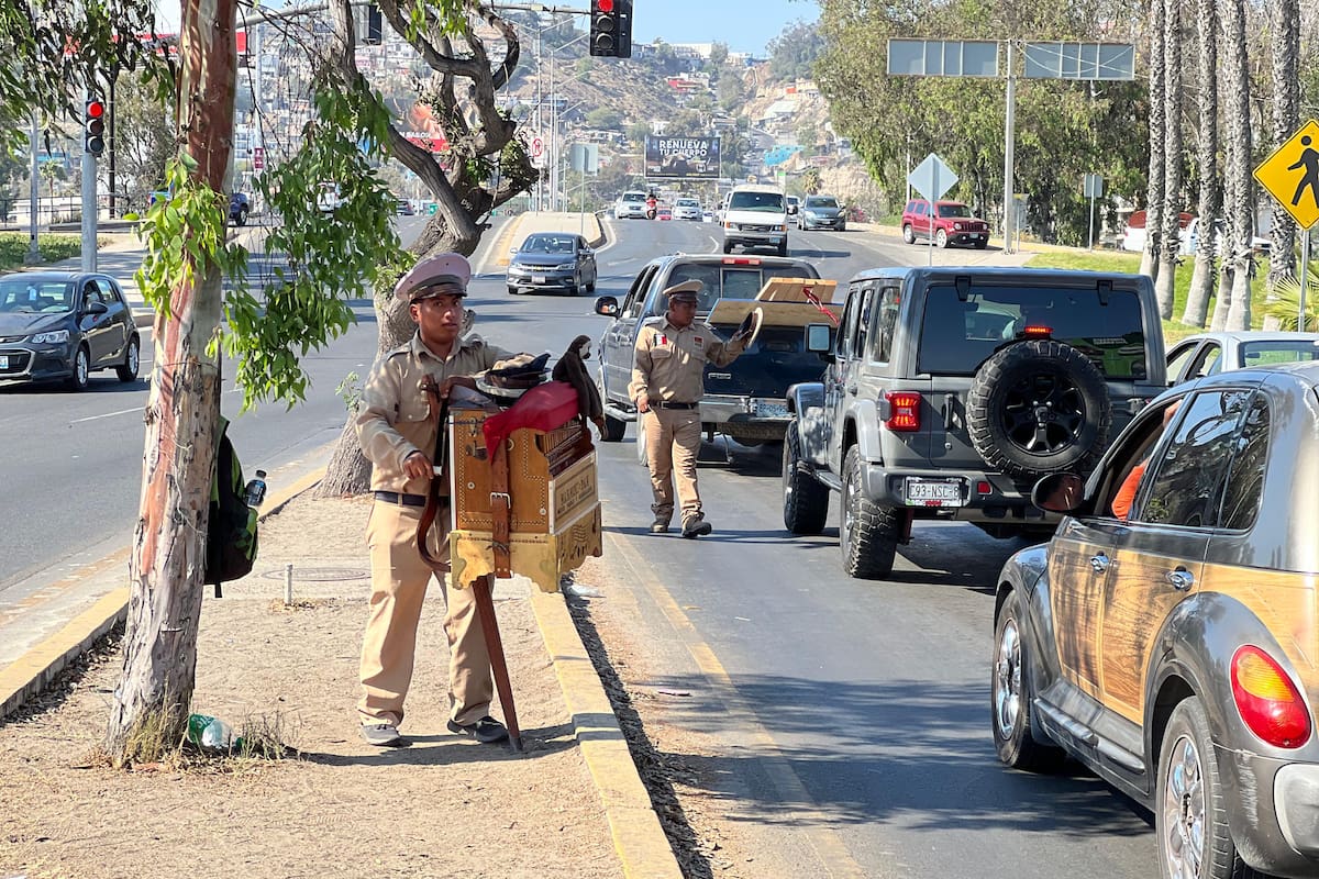Organilleros llevan la música tradicional a las calles de Tijuana