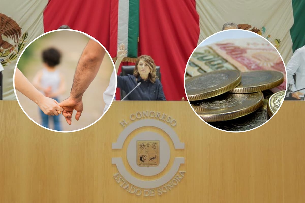 Deudores alimentarios en Sonora no podrían vender inmuebles sin acreditar pagos: proponen reforma