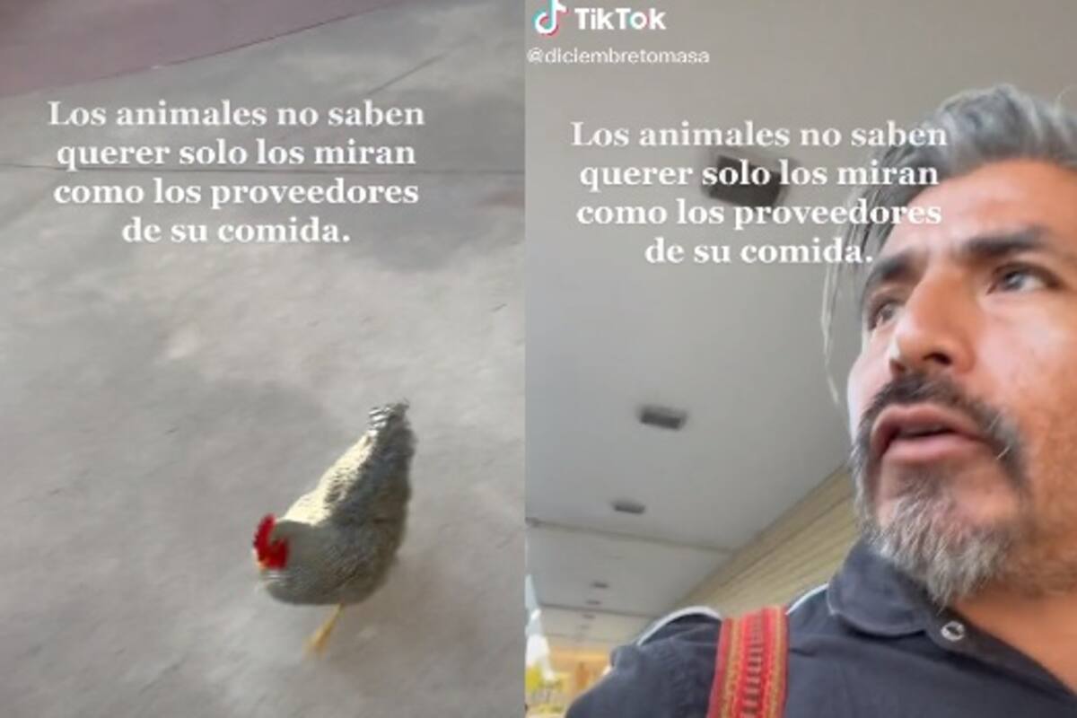 Viral: Hombre pasea con su gallo 'Paco' por centro comercial