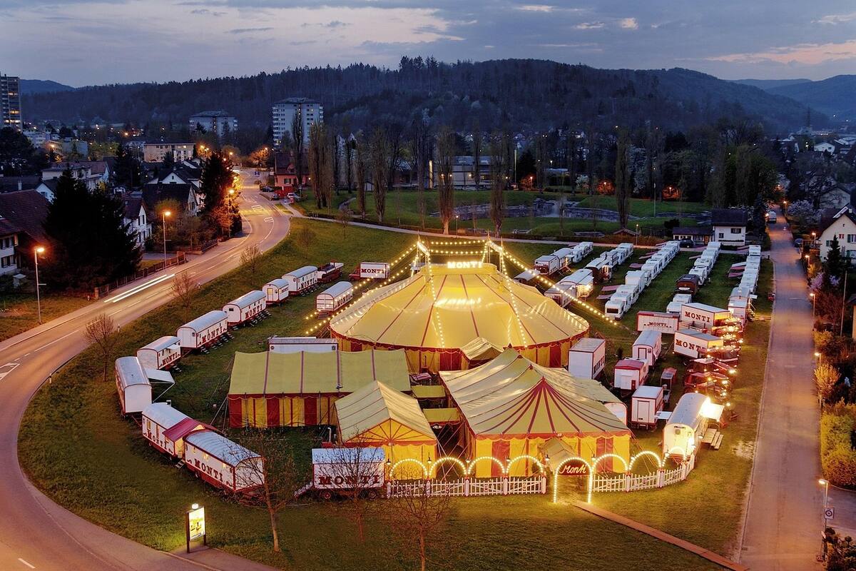 Cancelan funciones del Circo de Dinosaurios en SLRC