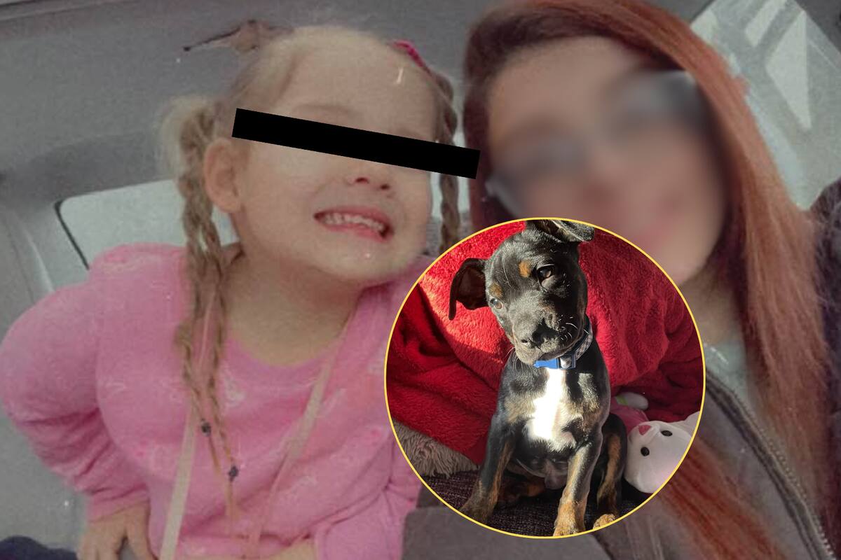 Niña de 4 años en condición crítica tras feroz ataque canino; su madre, quien contaba con orden de restricción, se escondió de la policía