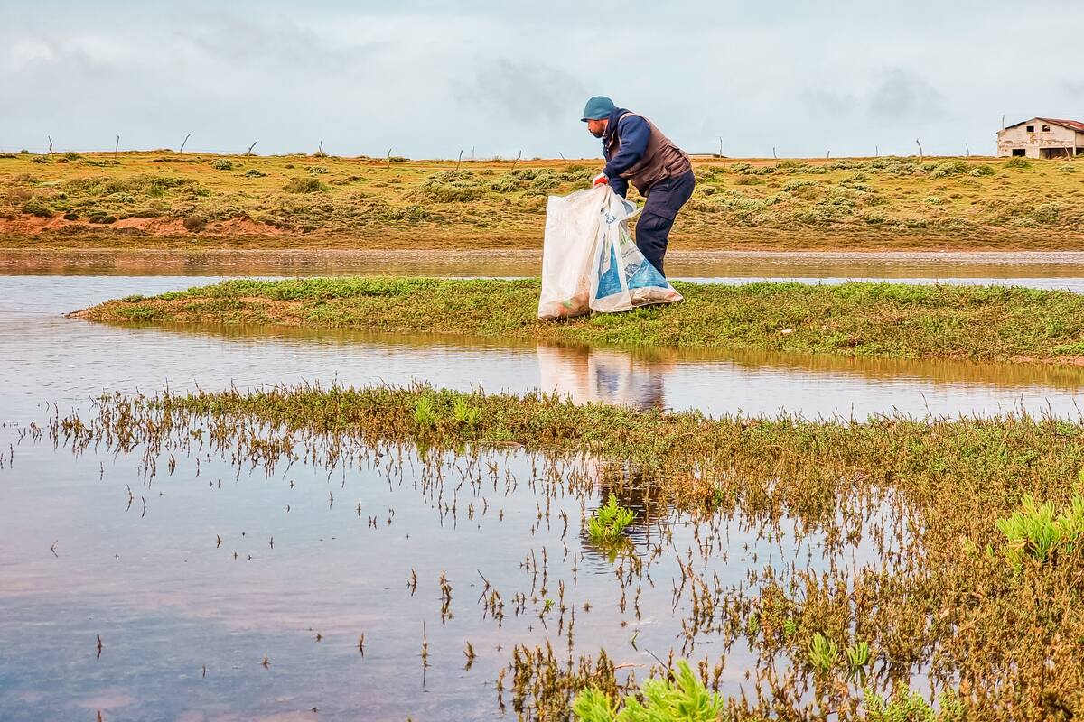 Mantienen limpios humedales de San Quintín