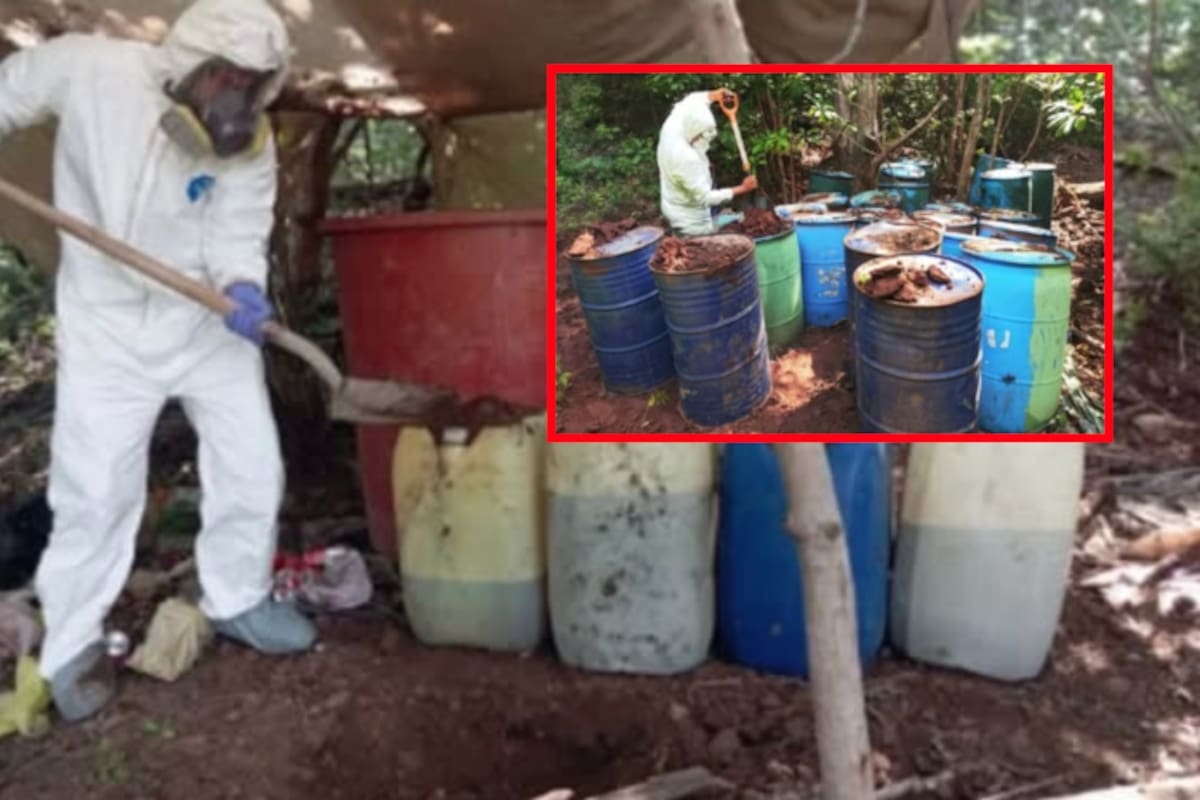 Desmantelan laboratorio clandestino y 17 zonas químicas en Sinaloa: hallan más de 16 mil litros de sustancias para fabricar drogas