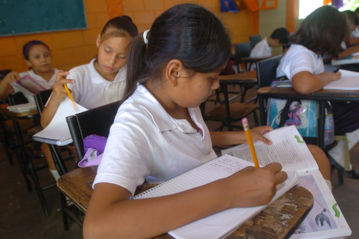Bajo desempeño de México en PISA exige atención de padres y autoridades y estrategias para recuperar aprendizajes, señala investigadora de la Universidad de Sonora