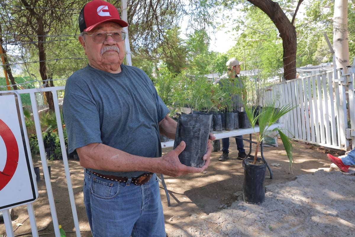 Vivero de Hermosillo regala árboles nativos: Con bagote que de sombra, un hombre adornará la tumba de su esposa