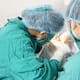 Turismo médico en Tijuana: costos hasta 75% menores