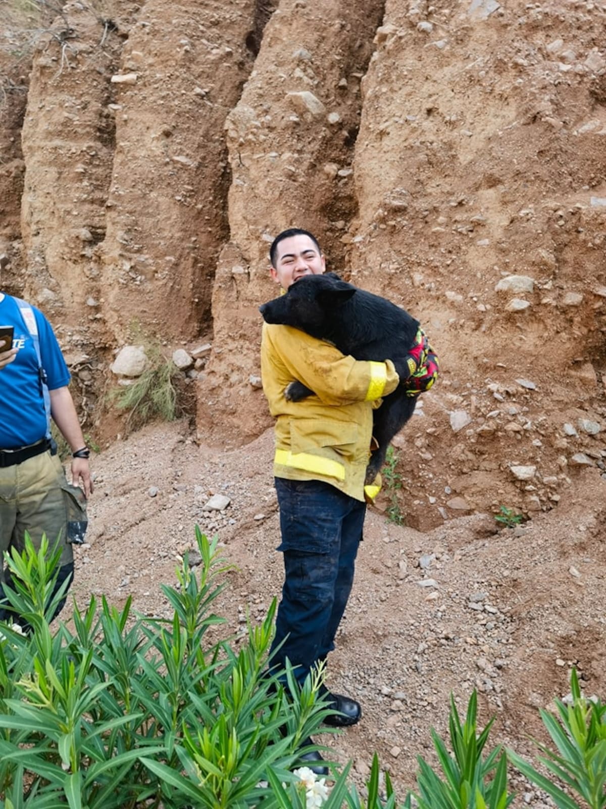 Una mascota canina fue rescatada de una grieta de delmedio de un cerro cortado y deslavado a un costado del Periférico Colosio rumbo a la garita Mariposa