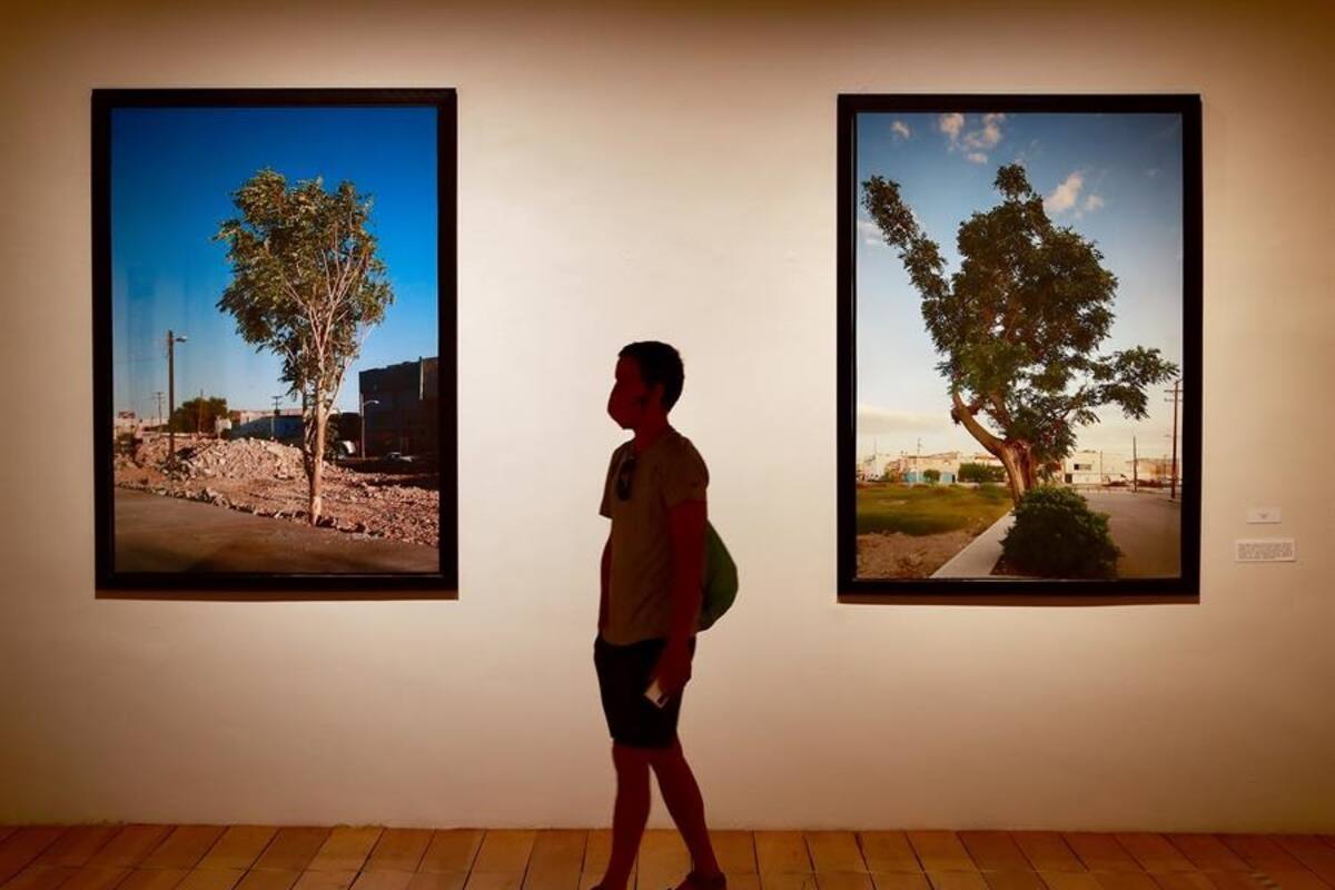 Reabren museos de la CDMX con un 20 % de aforo
