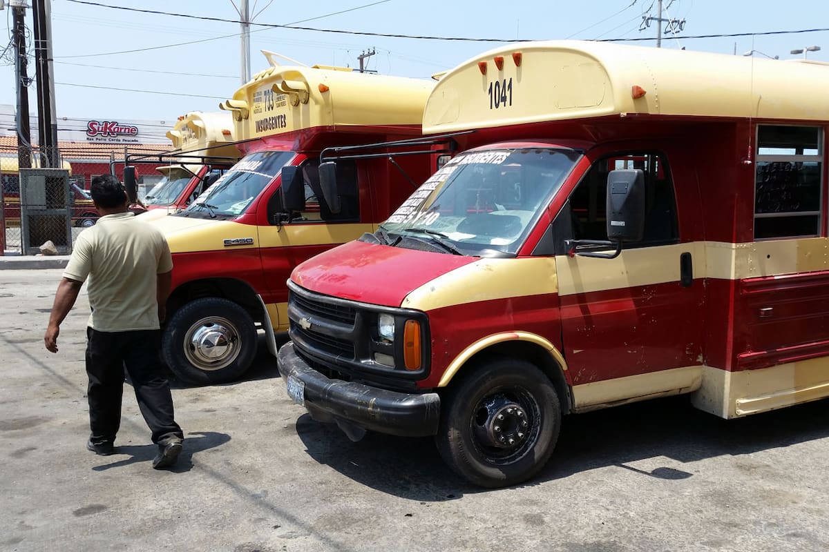 Transporte público en Tijuana ofrecerá servicio regular en Halloween: CTM