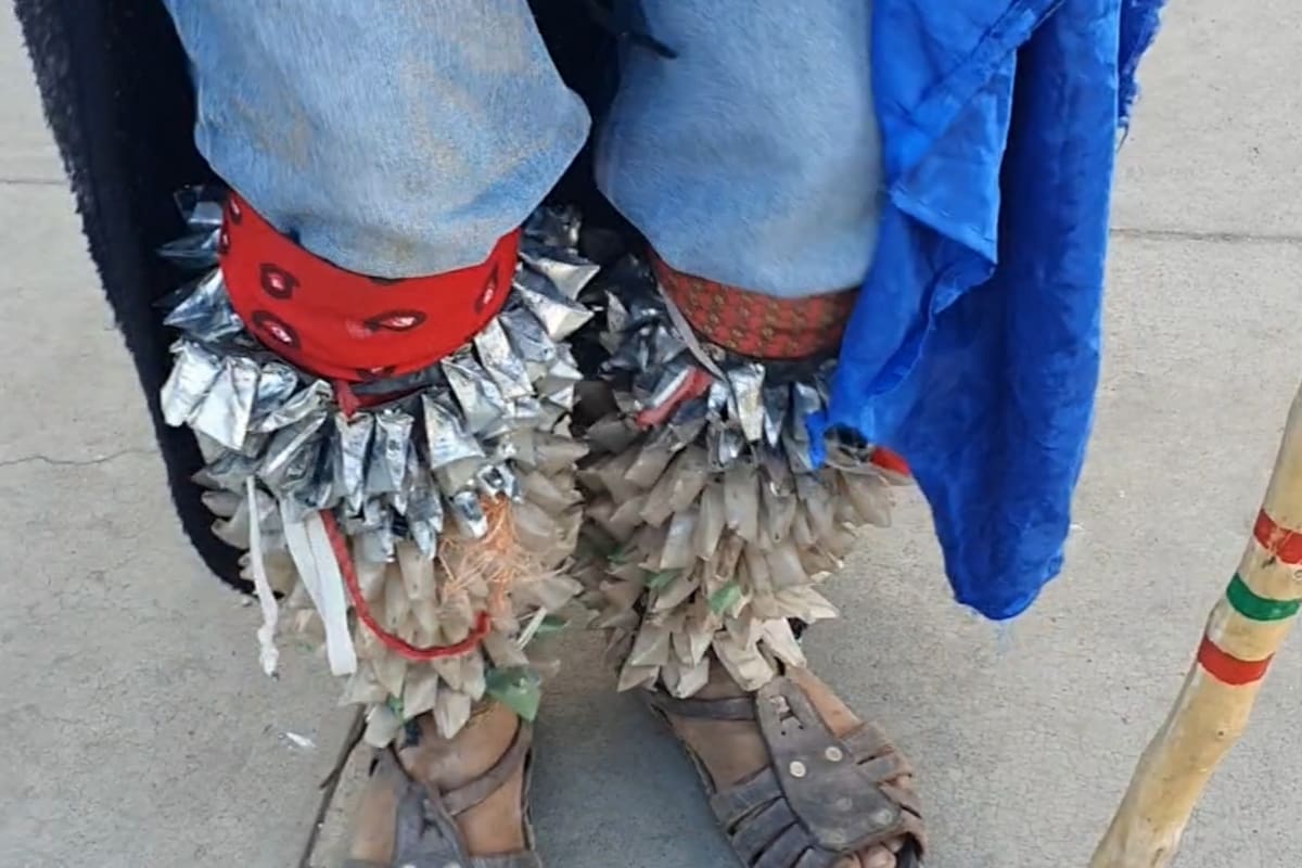 Batallan fariseos para conseguir tenabaris, hay escasez de capullos