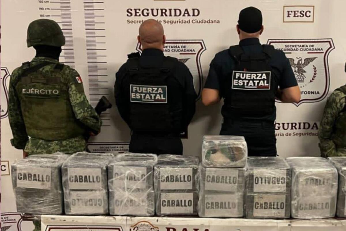 Autoridades aseguran casi 400 kilos de cocaína en Tijuana